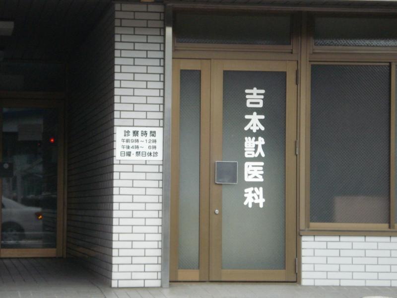 入口☆
