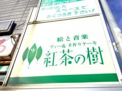 紅茶の樹