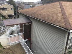 新契約バプテスト教会