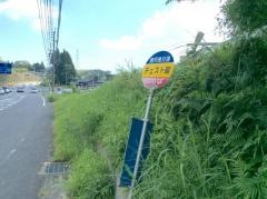 「チェスト館前」バス停留所