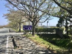 アクティプラザ琵琶