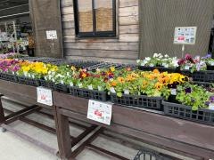 ＤＣＭ　21　恵那店