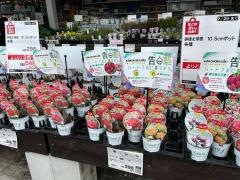 ＤＣＭ　21　恵那店