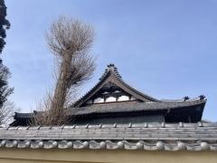 妙徳寺
