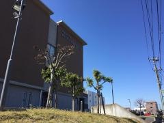 医療専門学校水戸メディカルカレッジ