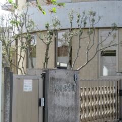 陽明保育園
