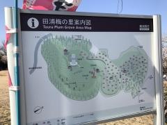 田浦梅の里