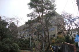 瀬田南小学校