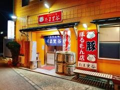 たま里谷
