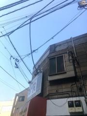 暖呑酒場もやん