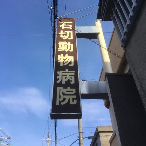 施設写真11