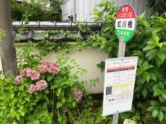 「虹川橋」バス停留所