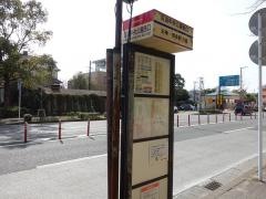 「百道中央公園西口」バス停留所