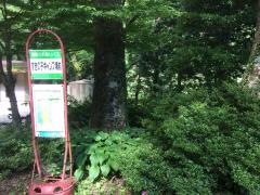 「すぎの子キャンプ場」バス停留所