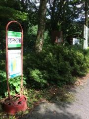 「すぎの子キャンプ場」バス停留所