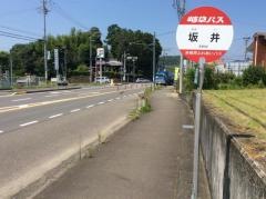 「坂井」バス停留所
