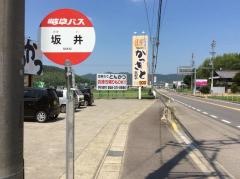 「坂井」バス停留所
