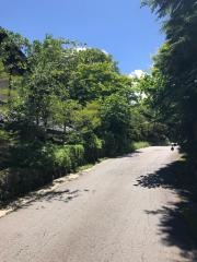 山里のいおり　草円
