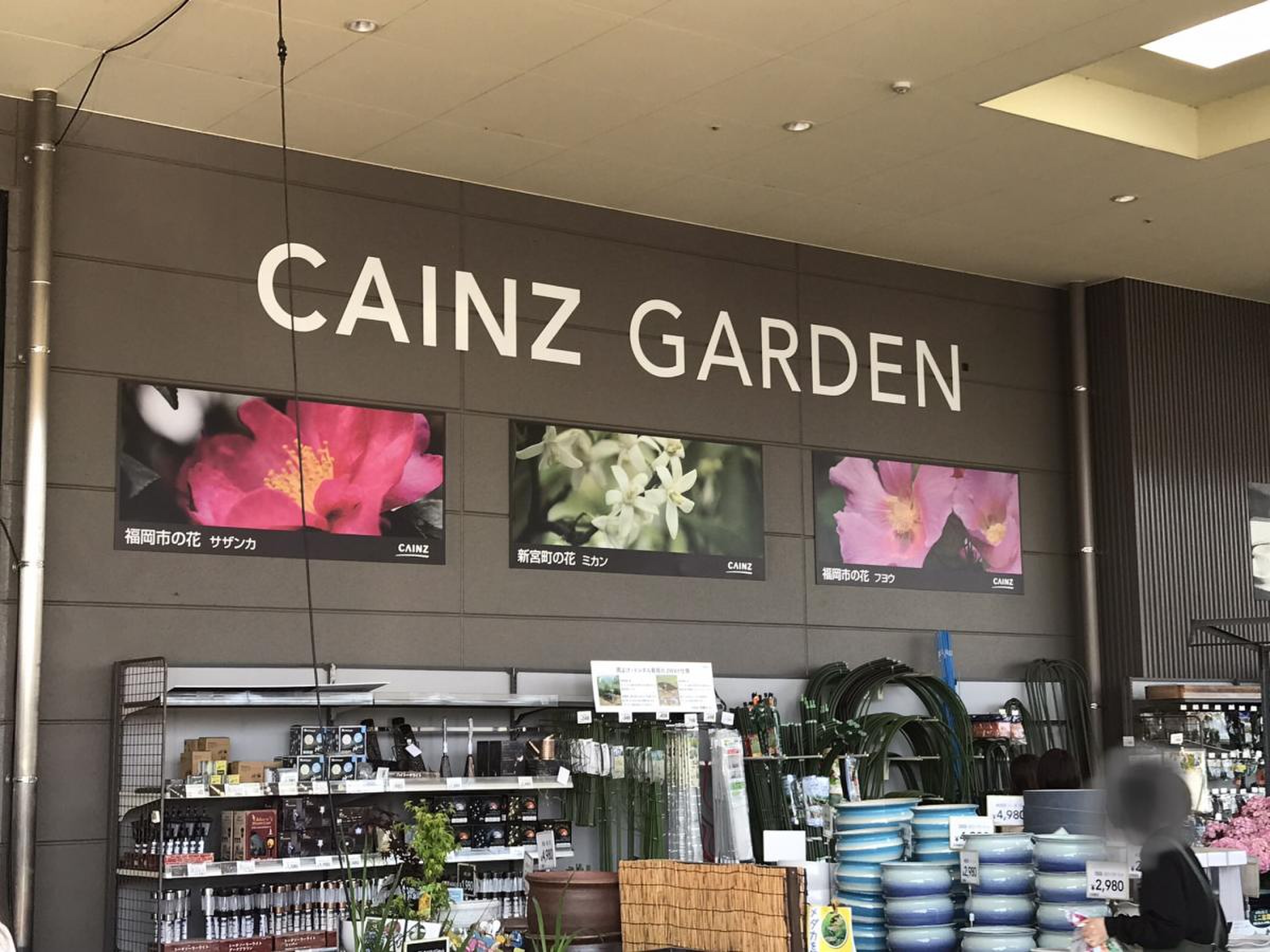 カインズ 福岡 新宮 店