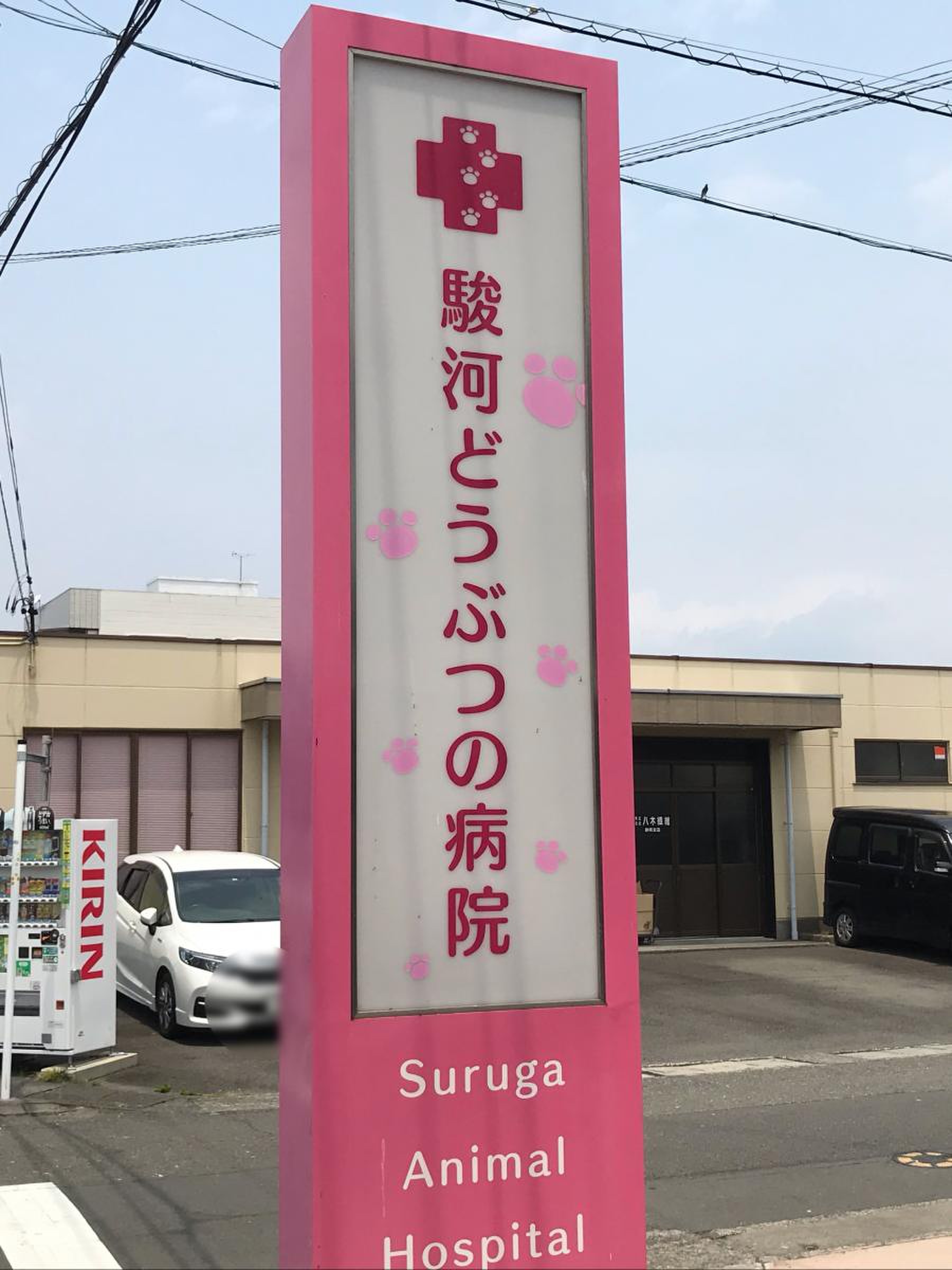 駿河 どうぶつ の 病院