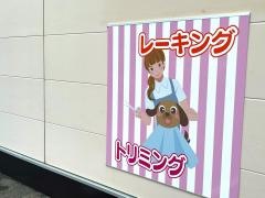 アミーゴ　郡山図景店