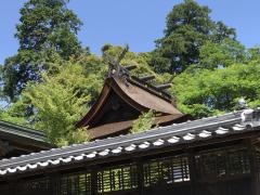 堅井之大宮（軽野神社）
