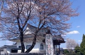 妙要寺