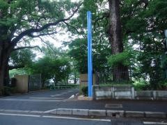 淑徳大学　千葉第2キャンパス