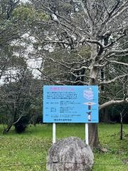 弥富野鳥園