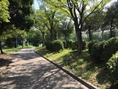 秋葉公園