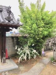 萬徳寺