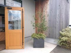 ＴＨＥ・ＧＡＲＤＥＮ