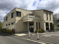 向井眼科