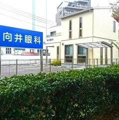 向井眼科