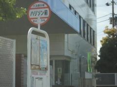 「ハリソン前」バス停留所