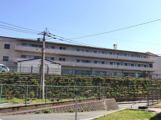 サンフラワーズ北九州