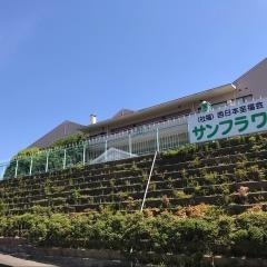 サンフラワーズ北九州