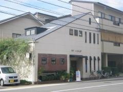 ニューカトレア