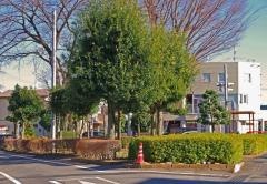 3号松原緑地