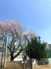 光が丘四季の香小学校