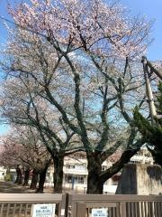 光が丘四季の香小学校