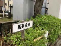 馬渕緑地
