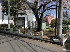 馬渕緑地