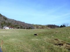 愛知県畜産総合センター茶臼山高原牧場