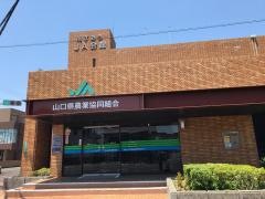 ＪＡ山口県　柳井支所