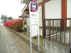 「盆栽入口」バス停留所