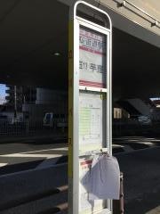 「桜街道」バス停留所