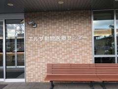 エルザ動物医療センター