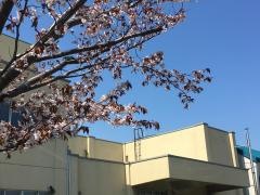 札幌市立光陽中学校