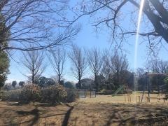 蔵波公園